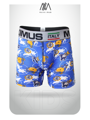 Boxer Niño Algodón premium PACK X6